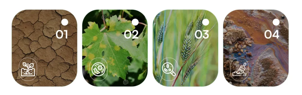 Bioremediation and soil regeneration processes in response to environmental and industrial stress