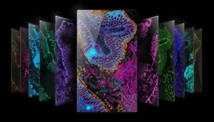 Imagerie cellulaire avancée illustrant la bioconvergence entre biologie et intelligence artificielle pour l’analyse des tissus