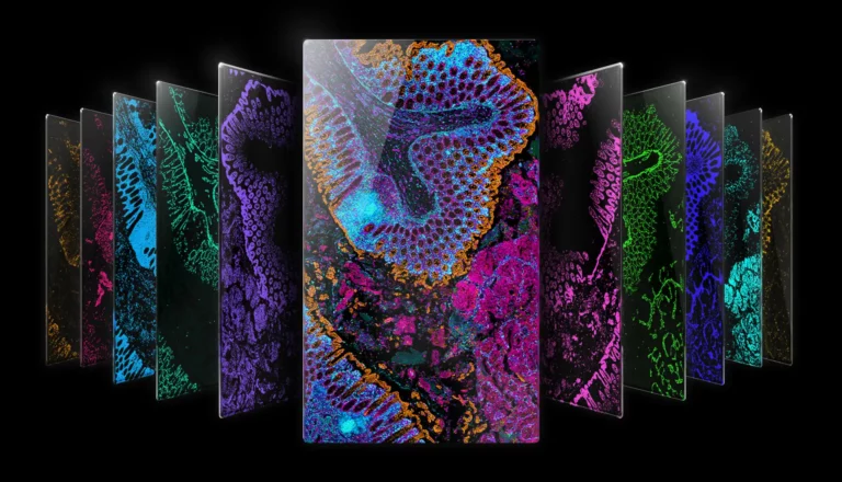 Imagerie cellulaire avancée illustrant la bioconvergence entre biologie et intelligence artificielle pour l’analyse des tissus