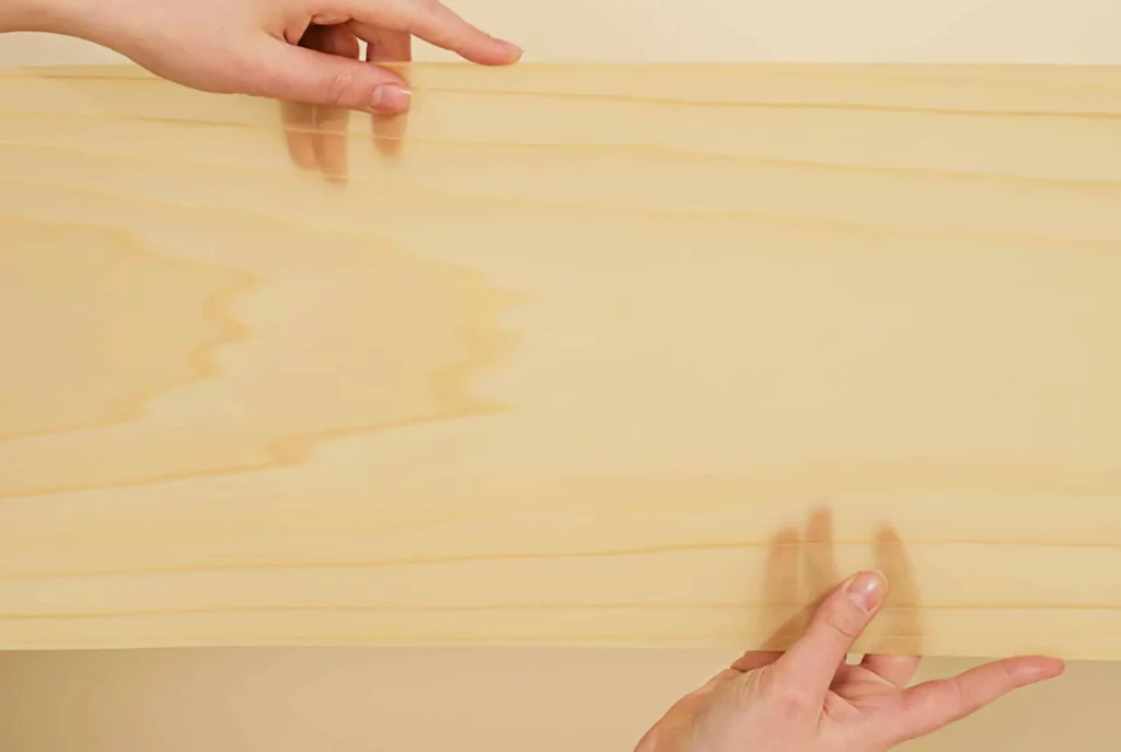 Woodoo Slim translucent wood panel, a bio-based material innovation within the woodtech ecosystem