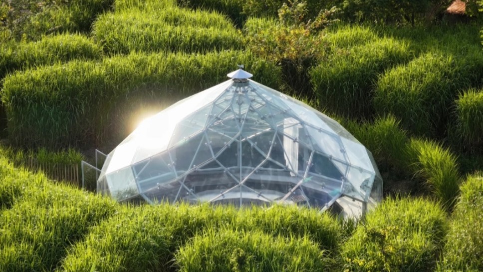 geodesic greenhouse low-carbon glass Pilkington glasstech sustainable architecture heritage