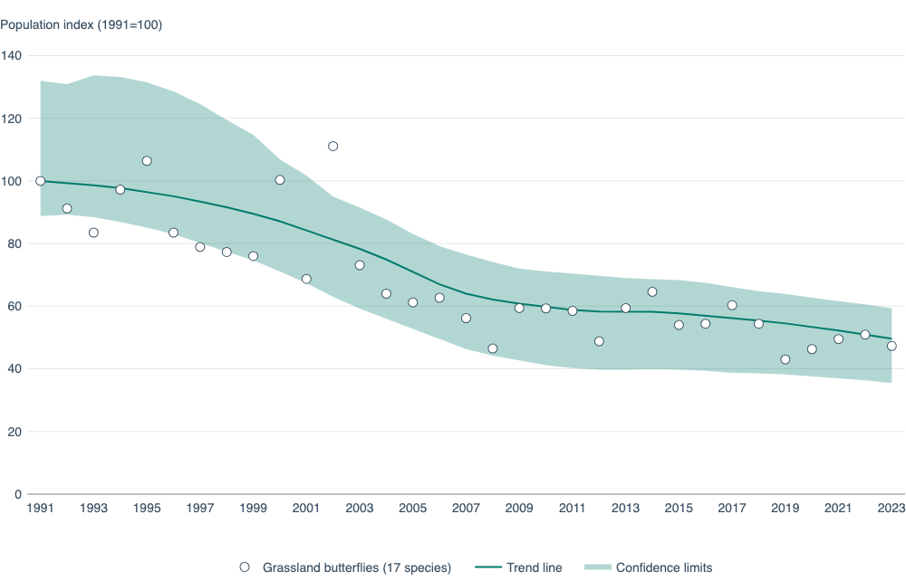 Graph showing the decline in butterfly populations in Europe between 1991 and 2023
