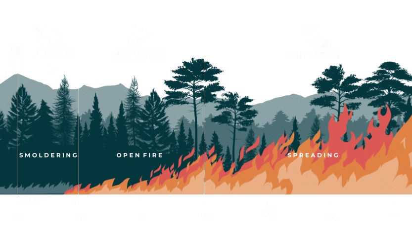 visual of forest fire steps