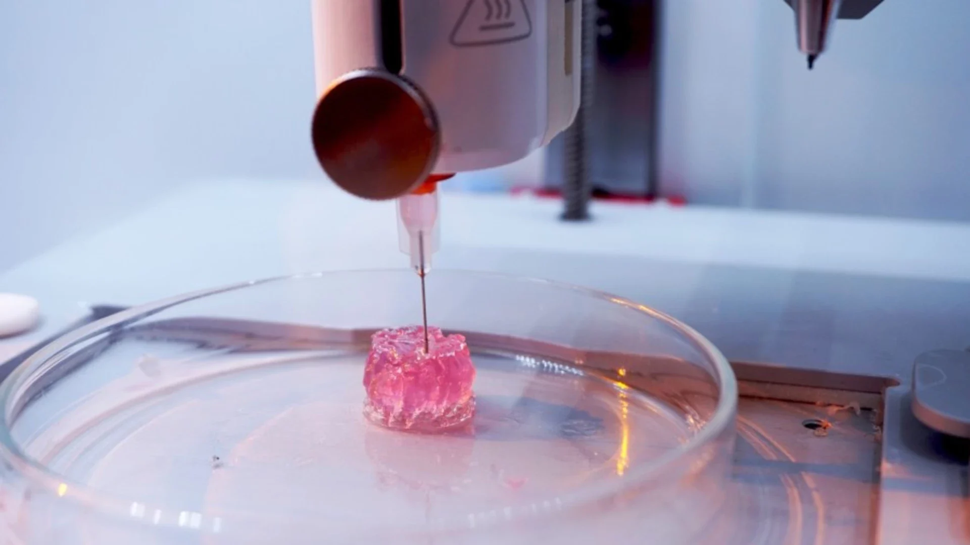 ECM bio-inks developed by BIO INX for 3D bioprinting