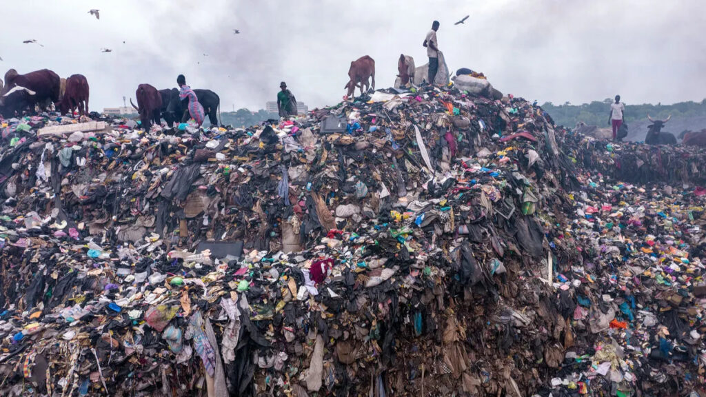 Une décharge de déchets plastiques illustrant l'impact environnemental de la pollution mondiale par le plastique et d'une mauvaise gestion des déchets.