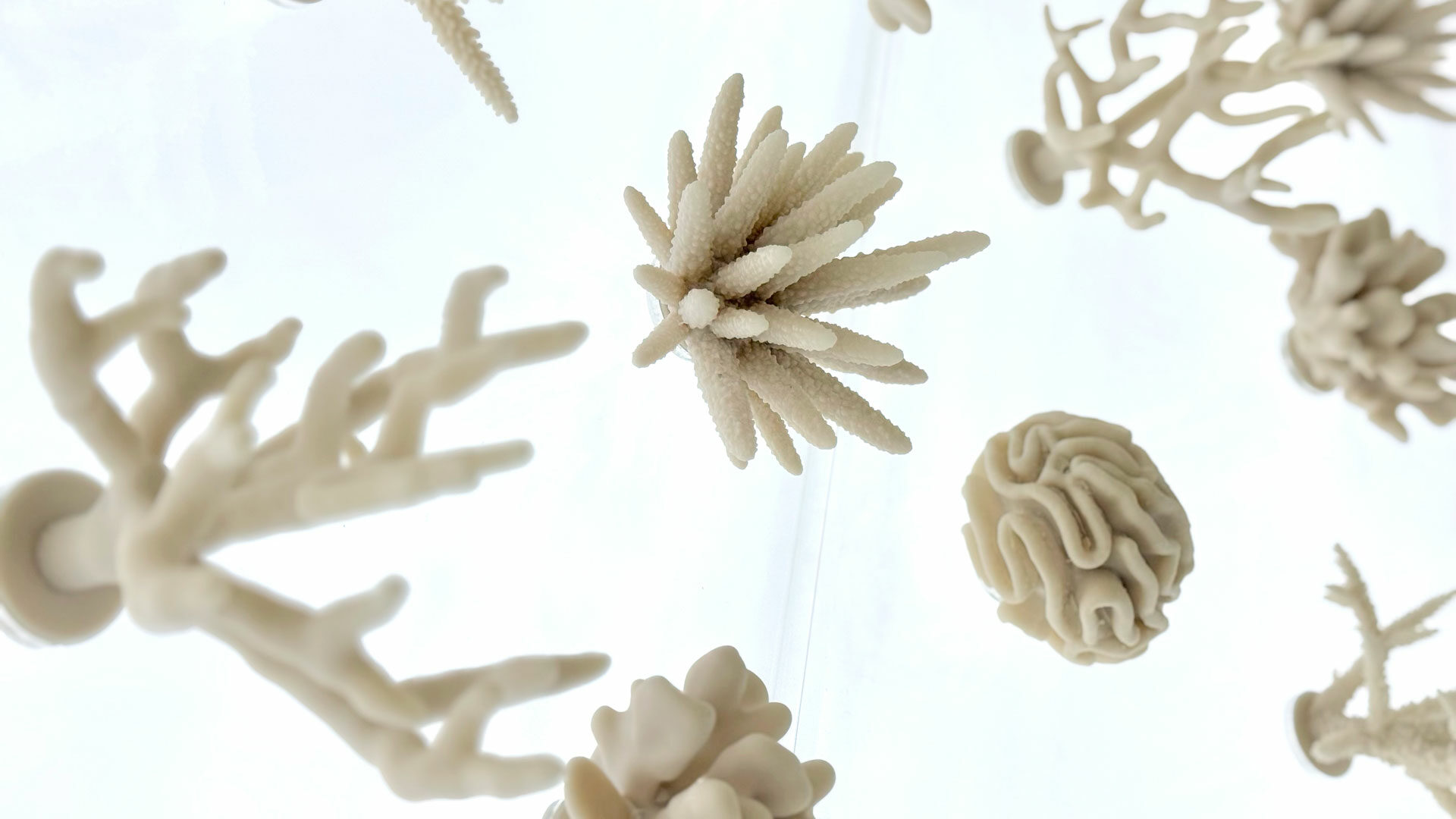 3D-printed coral reef structures on display at the Saudi Pavilion at the Osaka World Expo 2025.