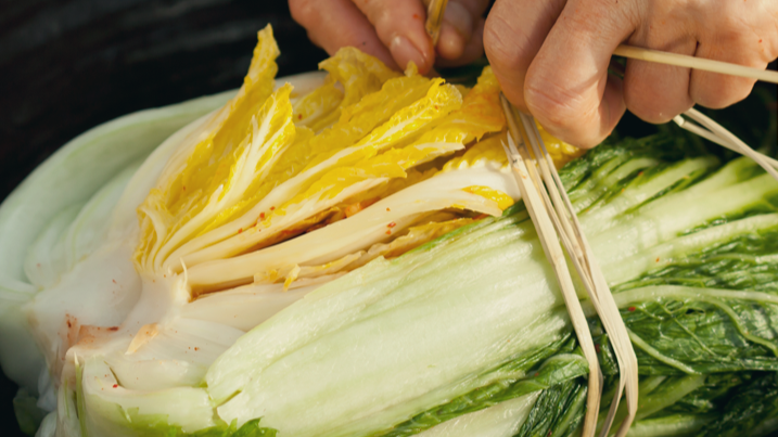 Leuconostoc mesenteroides, une bactérie isolée du kimchi, étudiée pour sa capacité à fixer des nanoplastiques de polystyrène en conditions expérimentales.